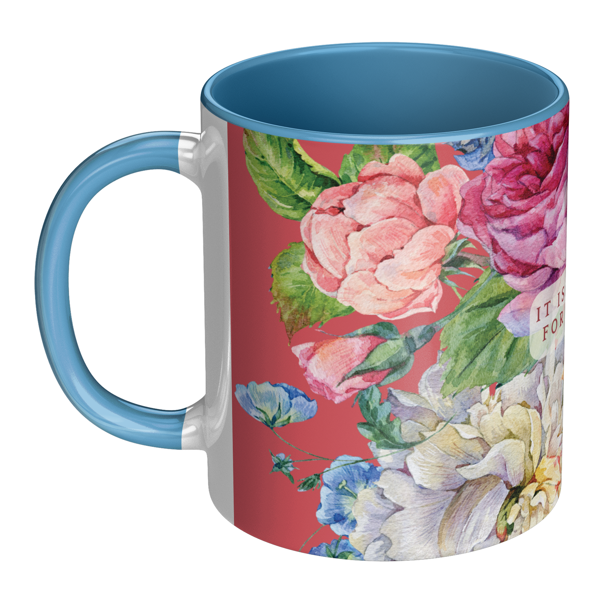 Ceramic_Mug_-_It_is_a_Good_Day_for_a_Goo_LH_Main_Mockup.png